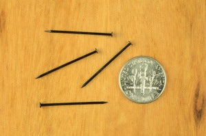 Black Zinc Plated Taxidermy Nails 1